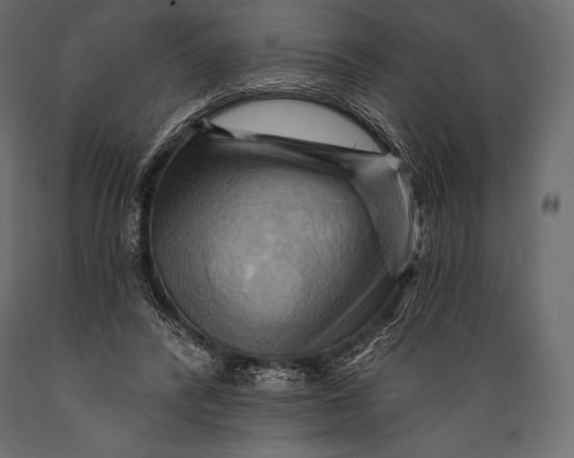 X0000088860400200706291522