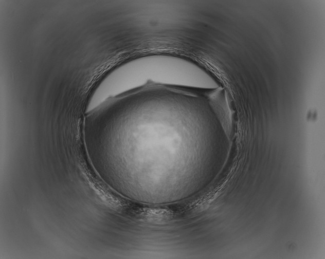 X0000088860401200706291522