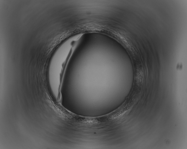 X0000088860402200706291522