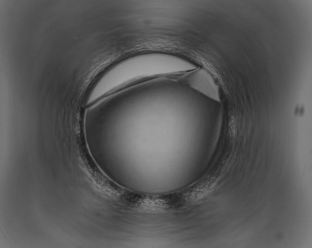 X0000088860403200706291522