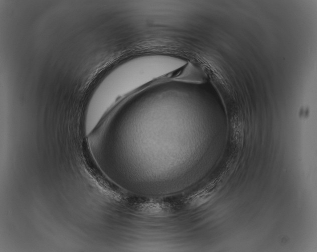 X0000088860404200706291522