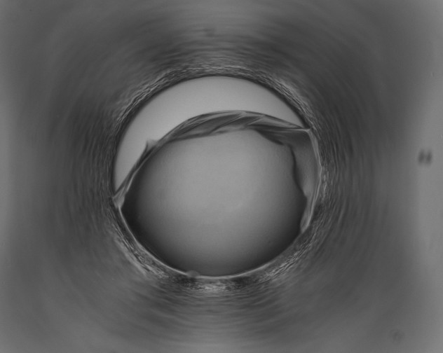 X0000088860405200706291522