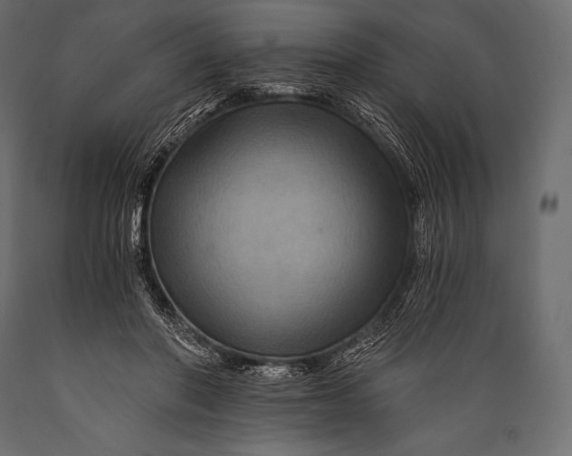 X0000088860406200706291522