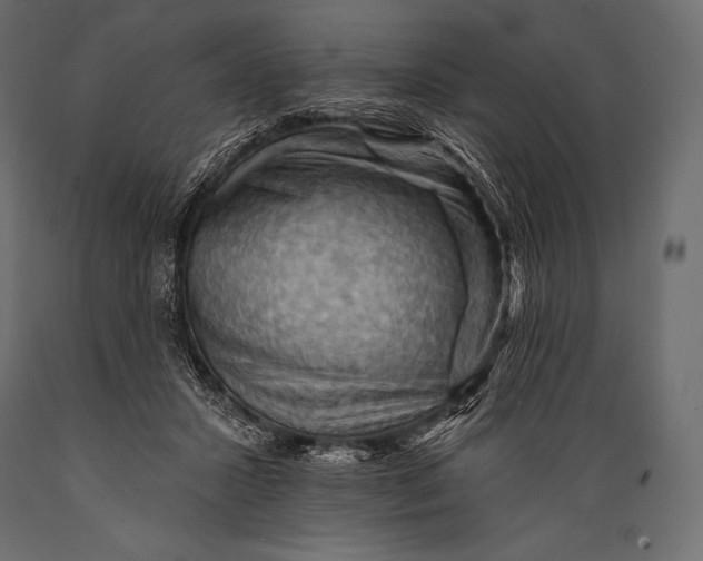 X0000088860407200706291522