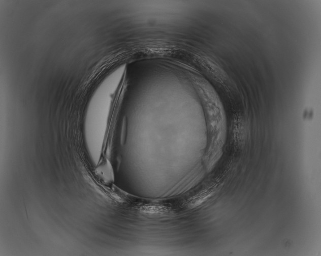 X0000088860408200706291522