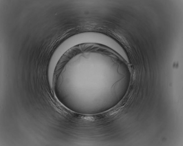 X0000088860409200706291522