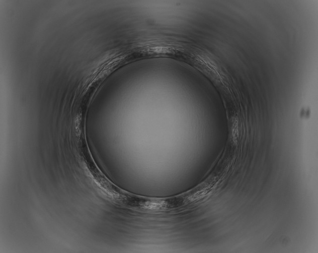 X0000088860410200706291522