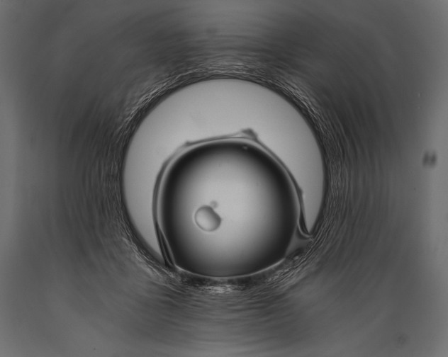 X0000088860411200706291522