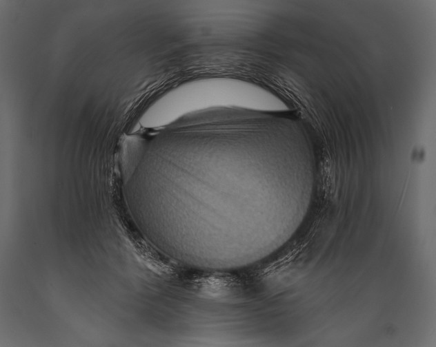 X0000088860412200706291522