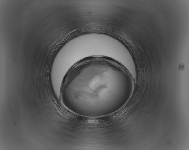 X0000088860413200706291522