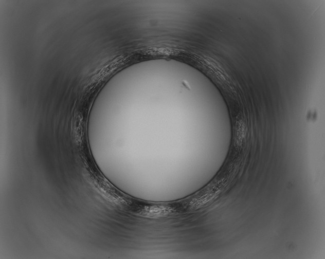 X0000088860414200706291522