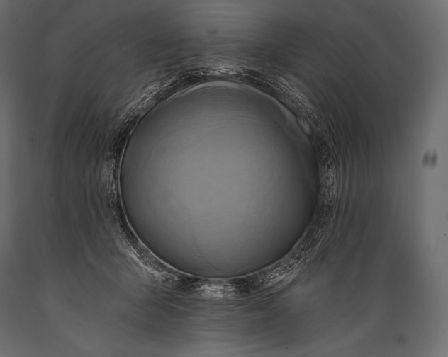 X0000088860415200706291522