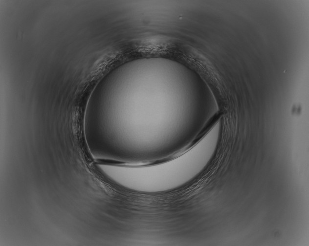 X0000088860416200706291522