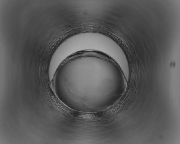 X0000088860417200706291522