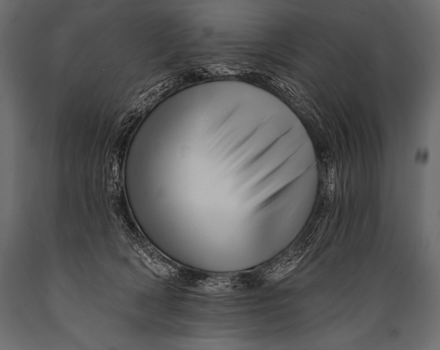 X0000088860418200706291522