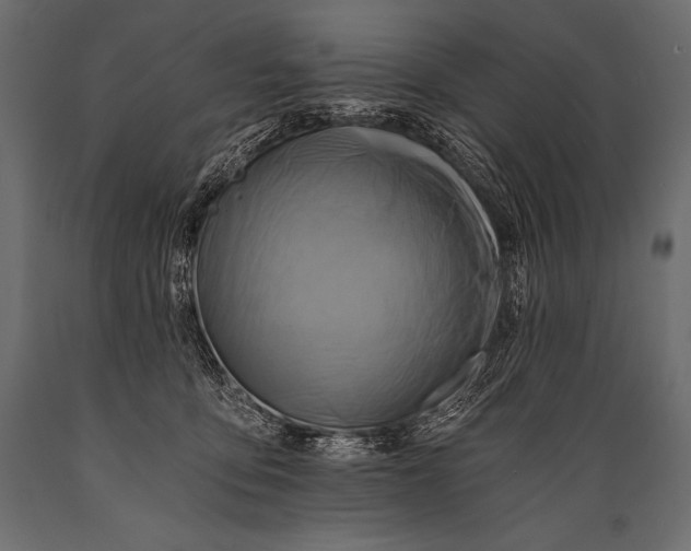 X0000088860419200706291522