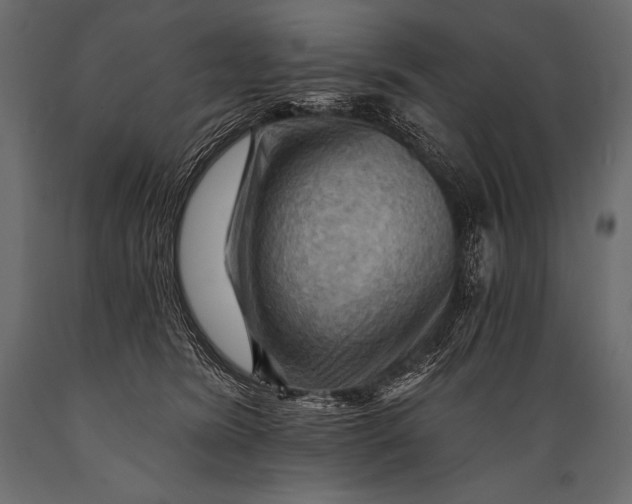 X0000088860420200706291522