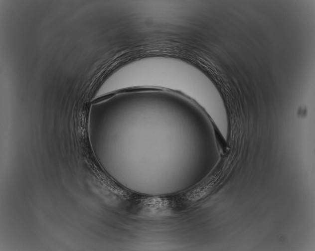 X0000088860421200706291522