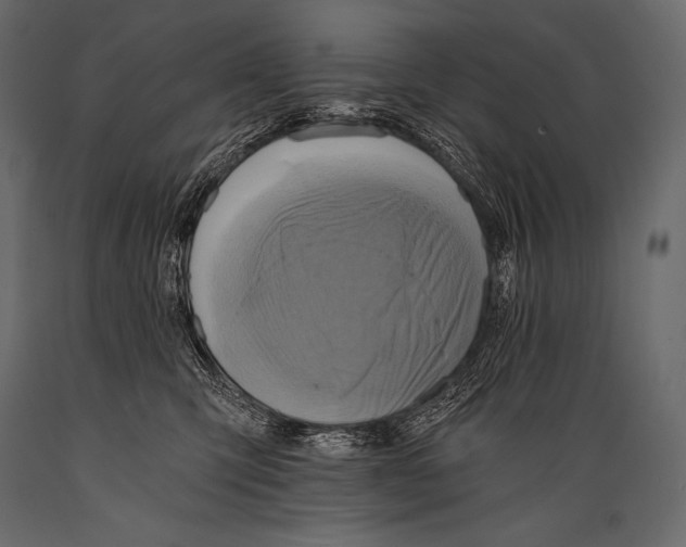 X0000088860423200706291522