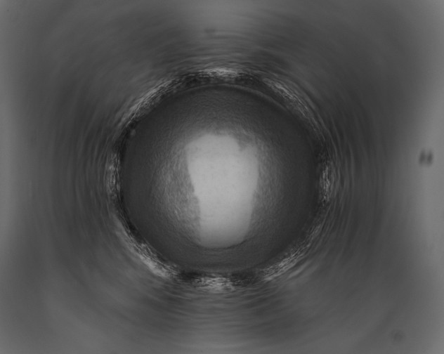 X0000088860424200706291522