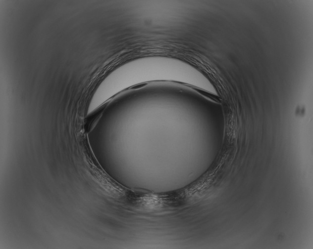 X0000088860425200706291522