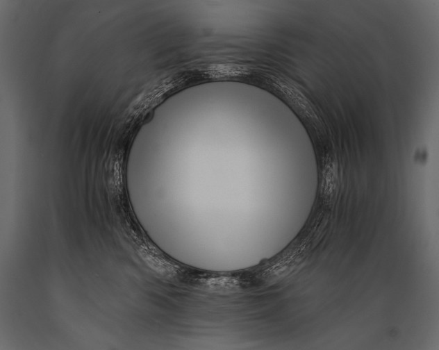 X0000088860426200706291522