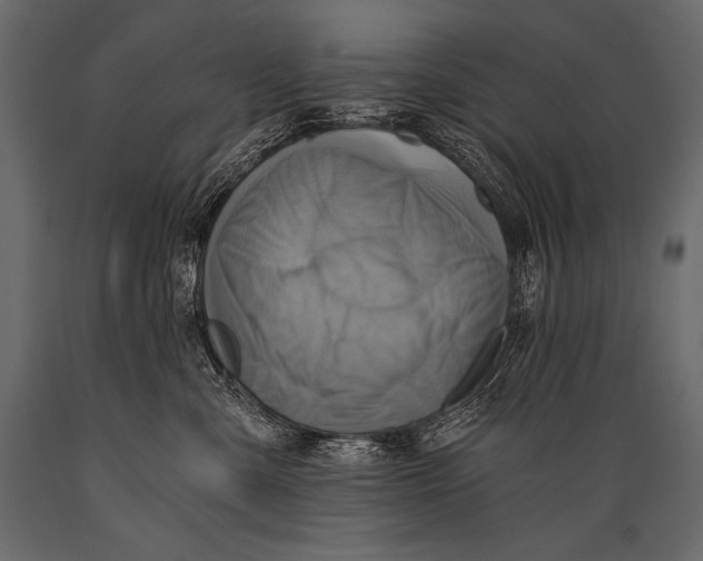 X0000088860427200706291522