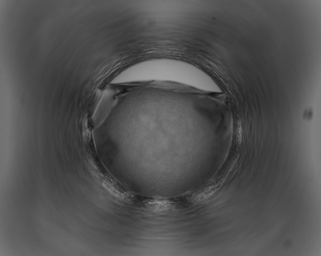 X0000088860428200706291522