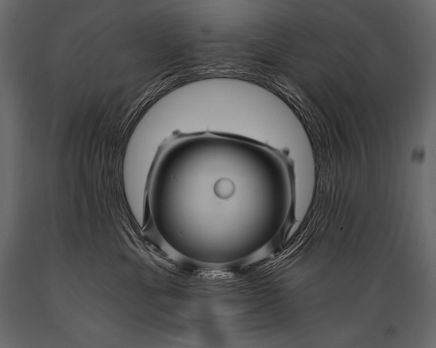 X0000088860429200706291522