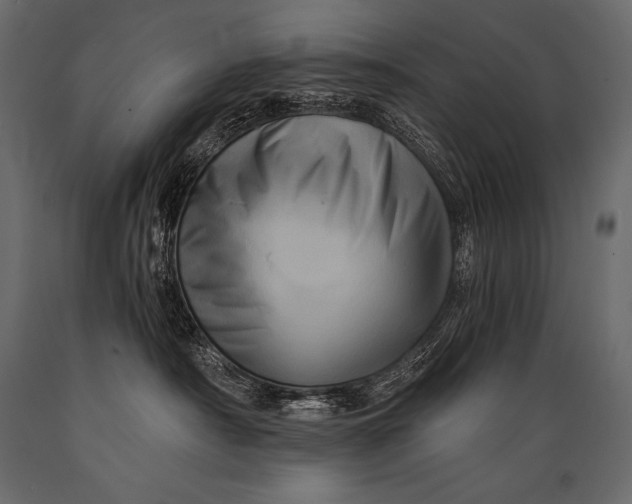 X0000088860430200706291522