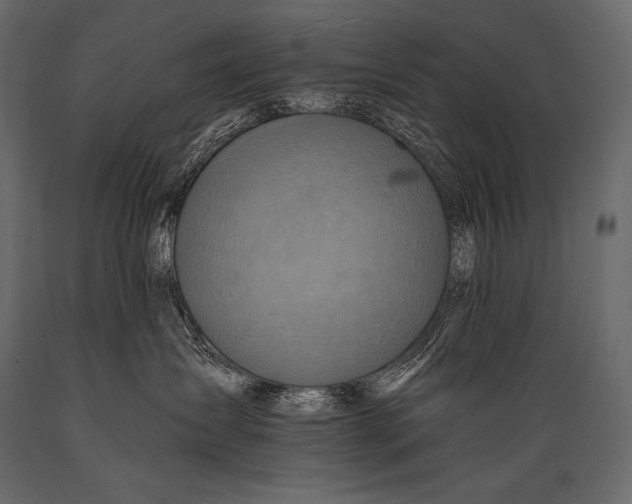 X0000088860431200706291522