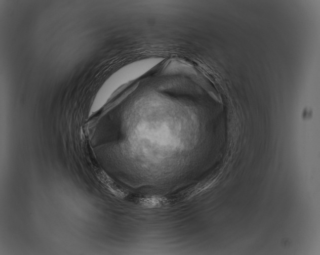 X0000088860432200706291522