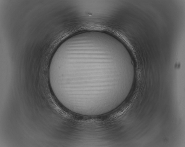 X0000088860433200706291521