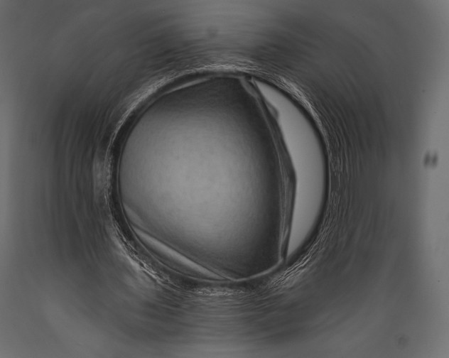 X0000088860435200706291521