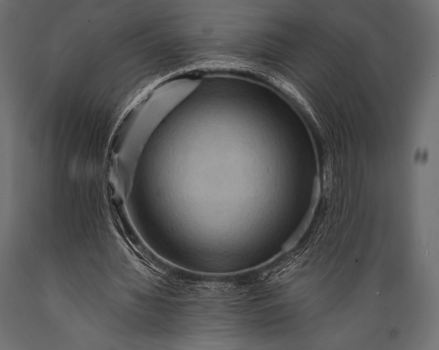 X0000088860436200706291521