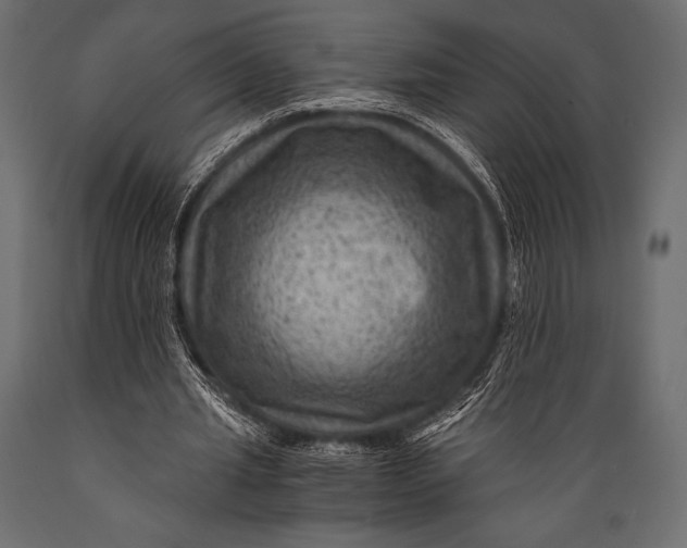 X0000088860437200706291521