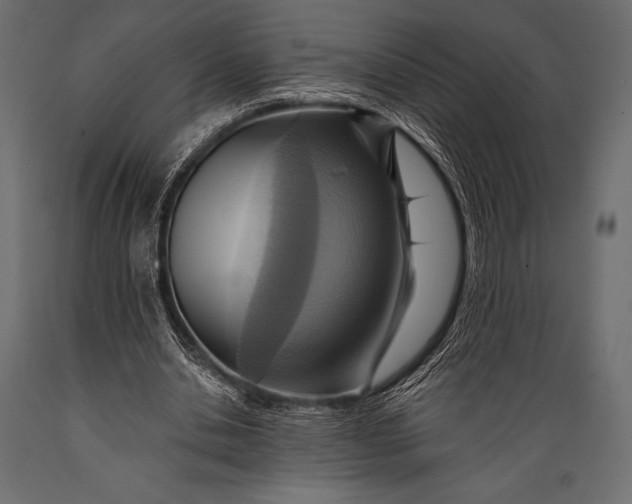 X0000088860438200706291521