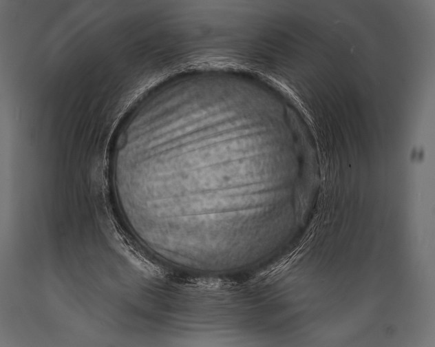 X0000088860439200706291521