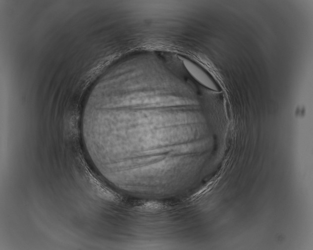 X0000088860441200706291521