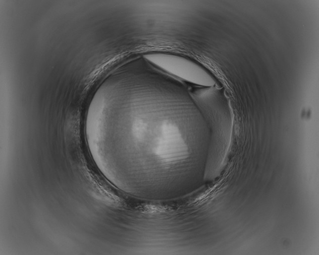 X0000088860442200706291521