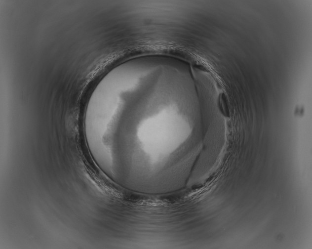 X0000088860443200706291521