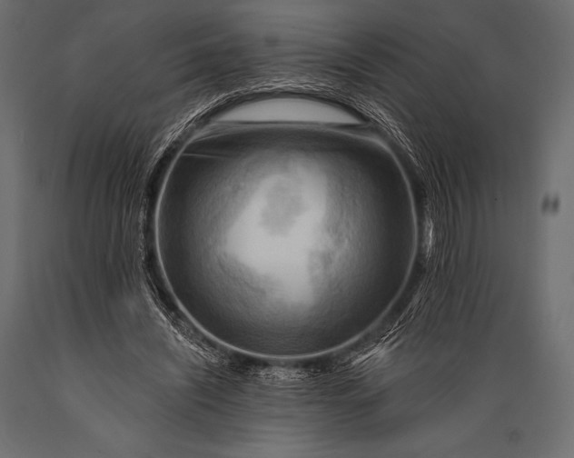 X0000088860444200706291521