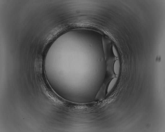 X0000088860446200706291521