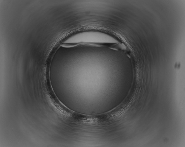 X0000088860447200706291521