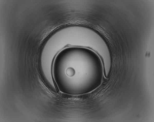 X0000088860448200706291521