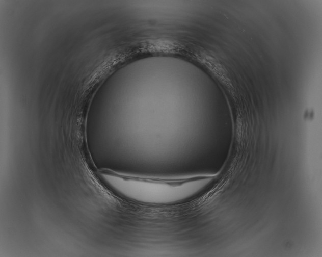 X0000088860449200706291521