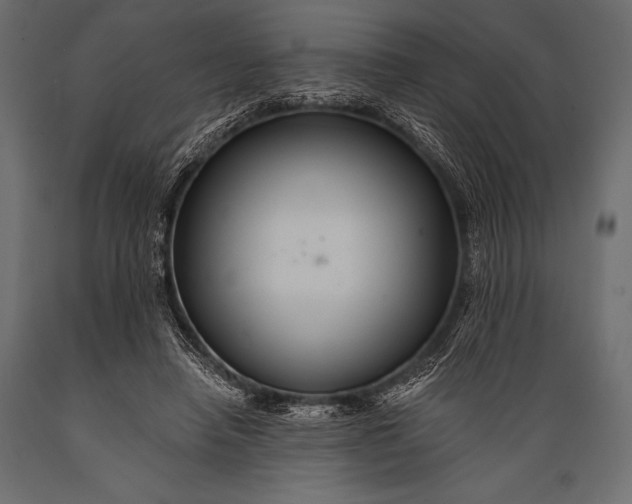 X0000088860450200706291521