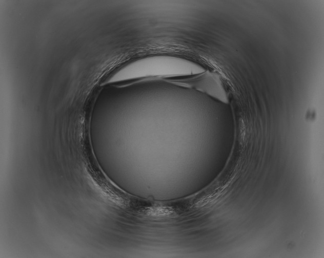 X0000088860451200706291521