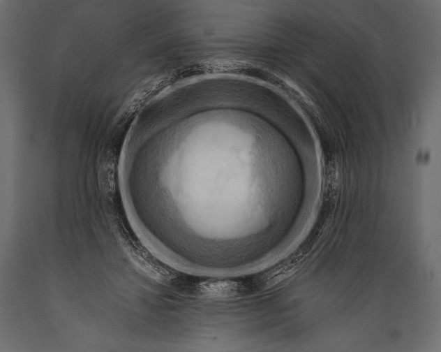 X0000088860452200706291521