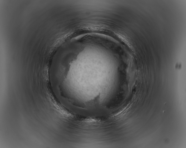 X0000088860453200706291521